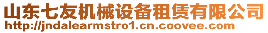 山東七友機(jī)械設(shè)備租賃有限公司