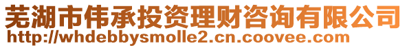 蕪湖市偉承投資理財咨詢有限公司