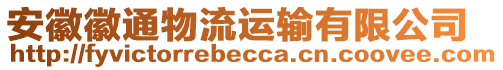 安徽徽通物流運輸有限公司