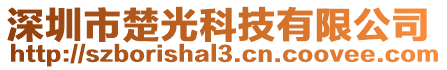 深圳市楚光科技有限公司