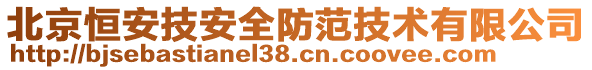 北京恒安技安全防范技術有限公司