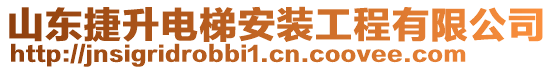 山東捷升電梯安裝工程有限公司