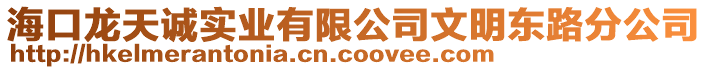 海口龍?zhí)煺\實業(yè)有限公司文明東路分公司