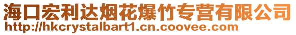 海口宏利達(dá)煙花爆竹專營有限公司
