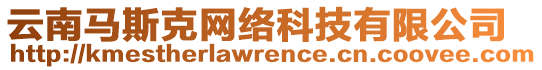 云南馬斯克網(wǎng)絡(luò)科技有限公司