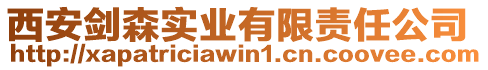 西安劍森實(shí)業(yè)有限責(zé)任公司