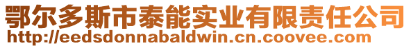 鄂爾多斯市泰能實業有限責任公司
