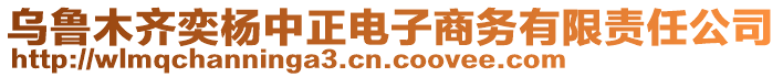 烏魯木齊奕楊中正電子商務有限責任公司
