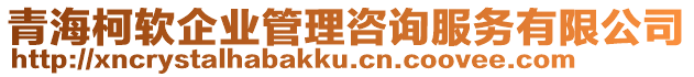 青海柯軟企業管理咨詢服務有限公司