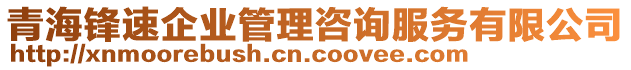 青海鋒速企業(yè)管理咨詢服務(wù)有限公司