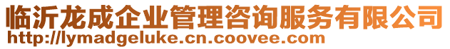 臨沂龍成企業管理咨詢服務有限公司