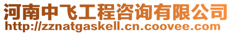 河南中飛工程咨詢有限公司