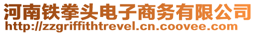 河南鐵拳頭電子商務(wù)有限公司