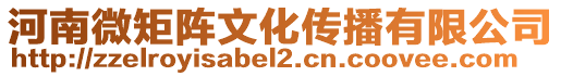 河南微矩陣文化傳播有限公司