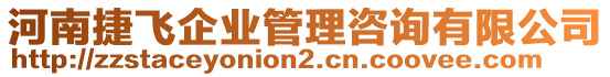河南捷飛企業管理咨詢有限公司