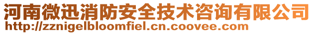 河南微迅消防安全技術(shù)咨詢有限公司