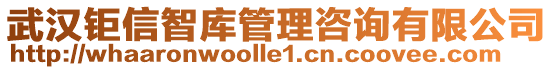 武漢鉅信智庫管理咨詢有限公司