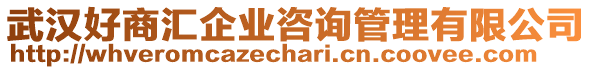 武漢好商匯企業(yè)咨詢管理有限公司