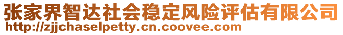 張家界智達(dá)社會(huì)穩(wěn)定風(fēng)險(xiǎn)評估有限公司
