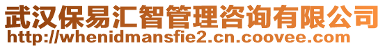 武漢保易匯智管理咨詢有限公司