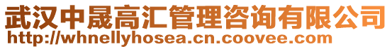 武漢中晟高匯管理咨詢有限公司