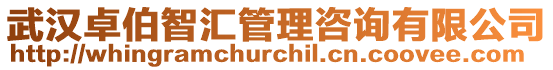 武漢卓伯智匯管理咨詢有限公司
