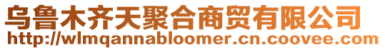 烏魯木齊天聚合商貿(mào)有限公司