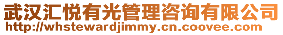武漢匯悅有光管理咨詢有限公司