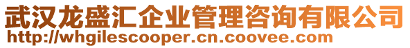 武漢龍盛匯企業管理咨詢有限公司