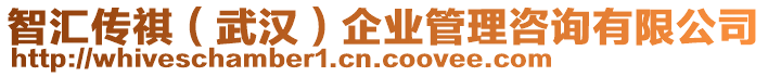 智匯傳祺（武漢）企業管理咨詢有限公司