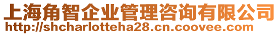 上海角智企業(yè)管理咨詢有限公司