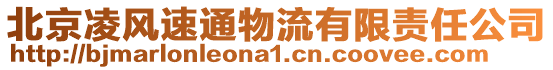 北京凌風速通物流有限責任公司