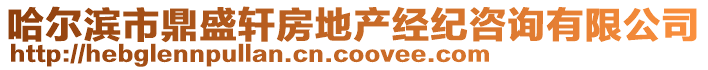 哈爾濱市鼎盛軒房地產(chǎn)經(jīng)紀(jì)咨詢有限公司