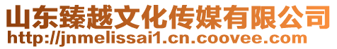 山東臻越文化傳媒有限公司
