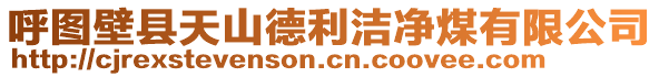 呼圖壁縣天山德利潔凈煤有限公司