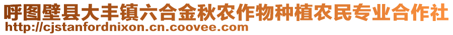 呼圖壁縣大豐鎮(zhèn)六合金秋農(nóng)作物種植農(nóng)民專業(yè)合作社