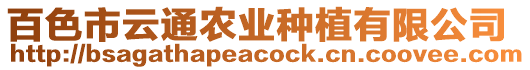 百色市云通農(nóng)業(yè)種植有限公司