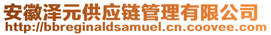 安徽澤元供應(yīng)鏈管理有限公司