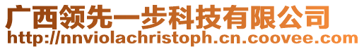 廣西領(lǐng)先一步科技有限公司