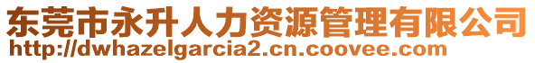 東莞市永升人力資源管理有限公司