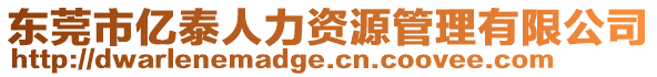 東莞市億泰人力資源管理有限公司