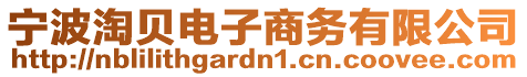 寧波淘貝電子商務有限公司