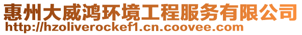 惠州大威鴻環(huán)境工程服務(wù)有限公司