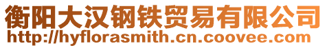 衡陽大漢鋼鐵貿易有限公司