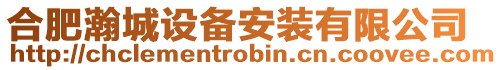 合肥瀚城設(shè)備安裝有限公司