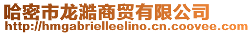 哈密市龍澔商貿有限公司