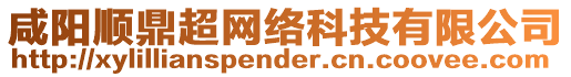 咸陽(yáng)順鼎超網(wǎng)絡(luò)科技有限公司