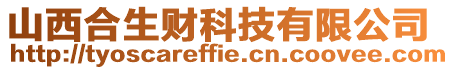 山西合生財科技有限公司
