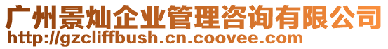 廣州景燦企業(yè)管理咨詢有限公司