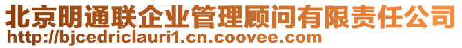 北京明通聯(lián)企業(yè)管理顧問有限責(zé)任公司